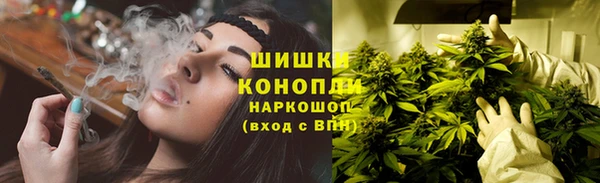 прущие грибы Балахна