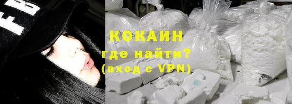 прущие грибы Балахна