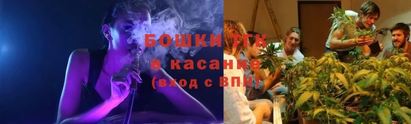 прущие грибы Балахна