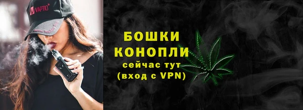 прущие грибы Балахна