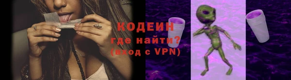 прущие грибы Балахна