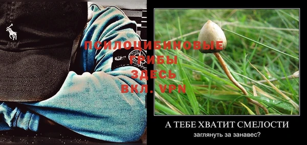 спиды Балабаново