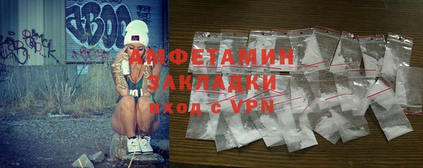 прущие грибы Балахна