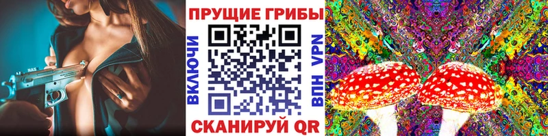 Псилоцибиновые грибы мицелий  наркотики  Выкса 